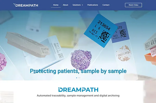 Dreampath: Web